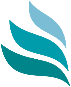 Logo Solnet